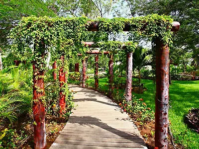 Sandos Playacar Resort 5*